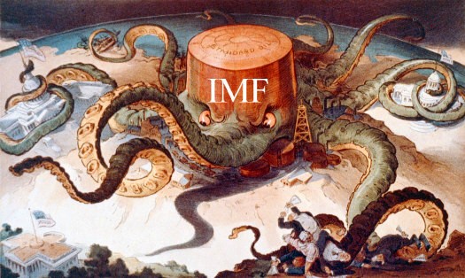 IMF - octopus_money