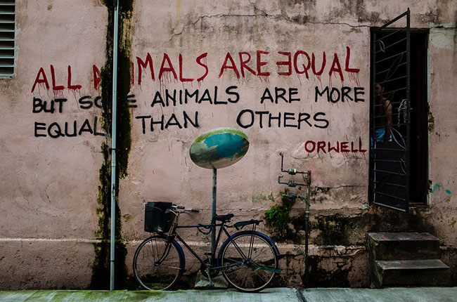 All animals are equal