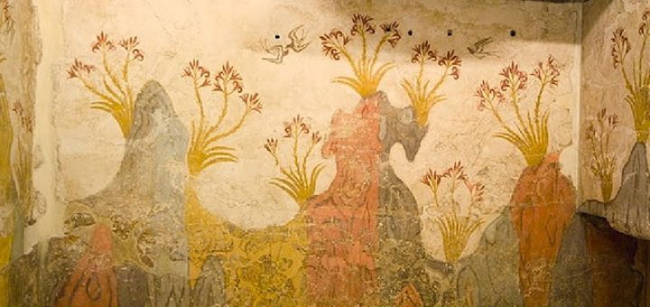 Κρίνος της θάλασσας, κρίνος της άμμου.Pancratium maritimum