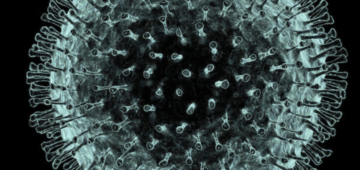 Human coronavirus [PASIEKA/Getty images]