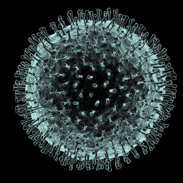Human coronavirus [PASIEKA/Getty images]