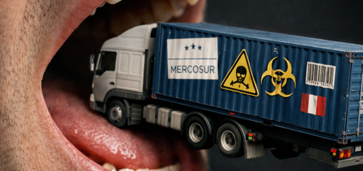 Συμφωνία Mercosur-EE